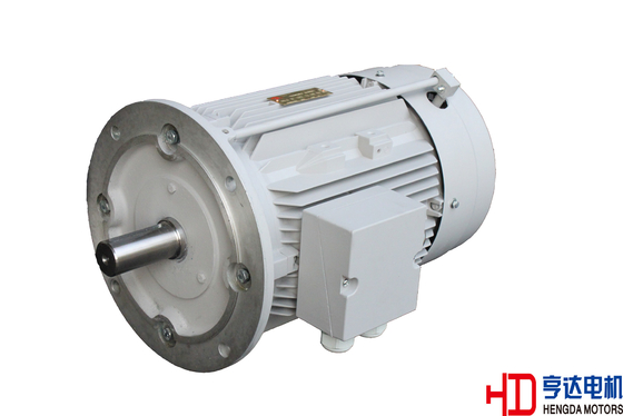 High Temperature Resistant Three Phase Asynchronous Electric Motor In Industry