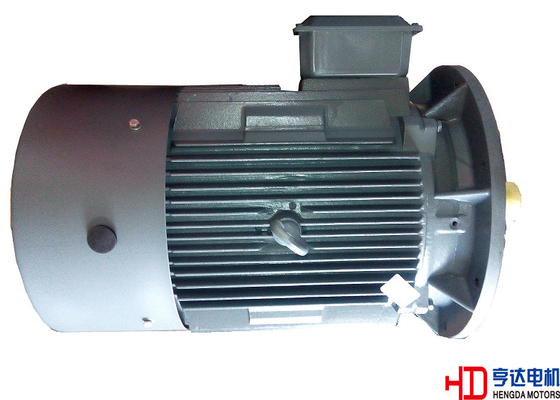 Small 3 Phase 4 Pole Low Voltage Electric Motor, IP54 / IP55 high temperature resistant H100 cast iron frame