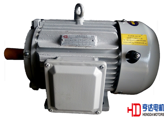 6 / 8 Pole 18.5KW / 22KW High Temperature Electric Motor 1000 rpm / 750 rpm