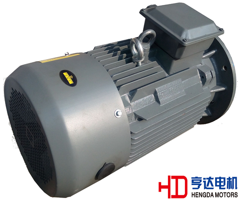IE1 4 KW 6 Pole Three Phase Asynchronous Squirrel Cage Induction Motor 40HZ - 60HZ