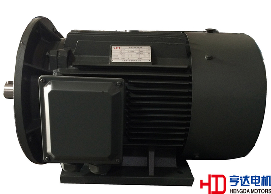 Totally Enclosed Three Phase Asynchronous Motor Industrial Electric Motors 45KW