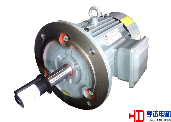 Small 3 Phase 4 Pole Low Voltage Electric Motor, IP54 / IP55 high temperature resistant H100 cast iron frame