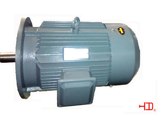 High Torque Asynchronous 3 Phase Squirrel Cage Induction Motor In Textile Industry